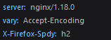 nginx 預設的 response header